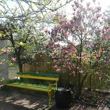 Hiša za goste Peter 3*